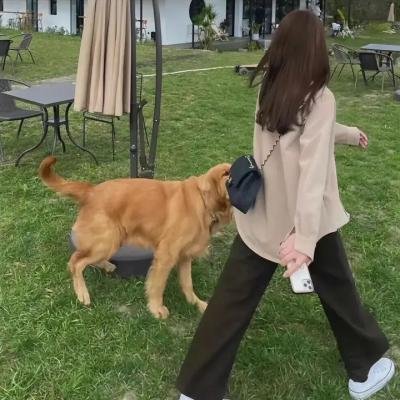 歼虎屠龙